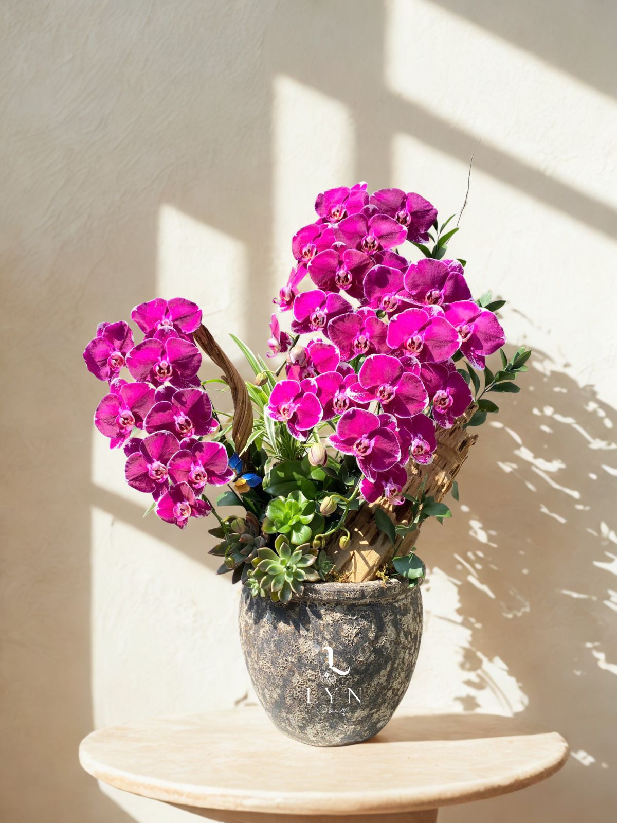 Chậu Hoa Lan Đỏ Địa Chủ Phối Lũa